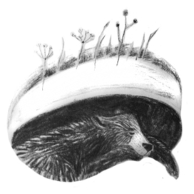 Бурое и белое