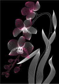 Орхидея