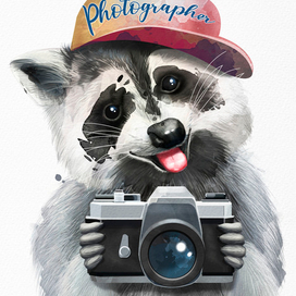 Енот фотограф