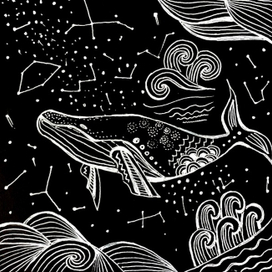 Звёздный кит