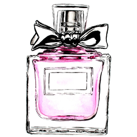Fragrance perfume bottle watercolor drawing