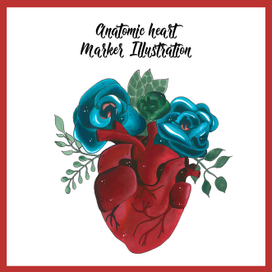 Anatomic heart. Marker illustration