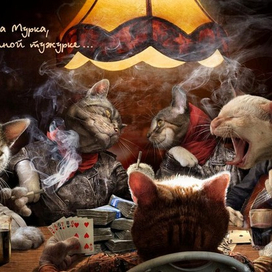 Иллюстрация для радио Шансон