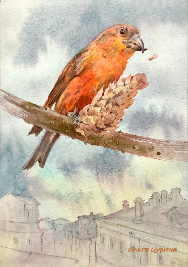 Ю. Коваль «Капитан Клюквин»