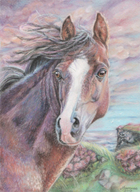 Шепот вереска