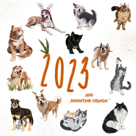 Иллюстрации животных из приюта для календаря