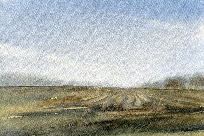 Весенние поля_1