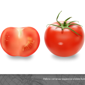 Помидор