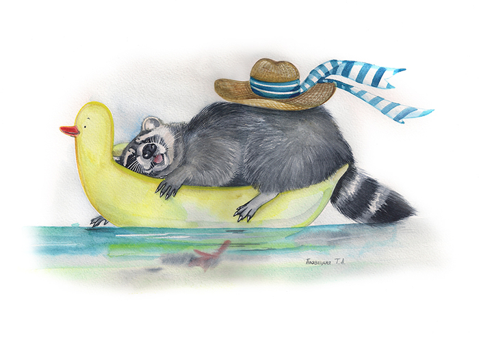 Сбылась мечта енота о море