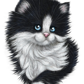 Котик принт