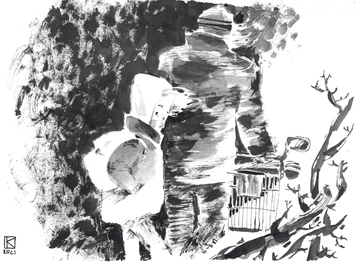 Начало пути