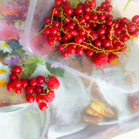 Ягодные бусы