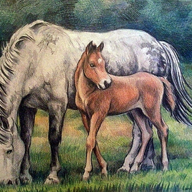 Лошадка с жеребенком