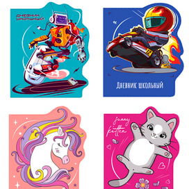 дизайн серии дневников