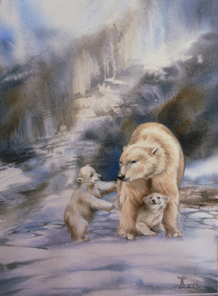 Белые медведи 