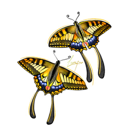 Бабочки ласточкиного гнезда 