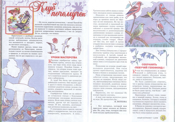 Иллюстрации для журнала "Юный натуралист" № 3.2019..Рубрика "Клуб почемучек".Художник:Марат Брызгалов