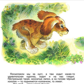 "Первая охота" Е. Чарушин