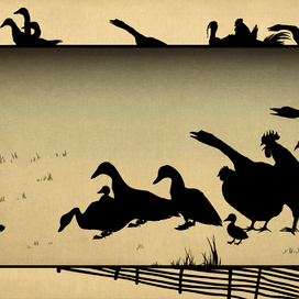 иллюстрация к сказке Х.К.Андерсена "Гадкий утенок"