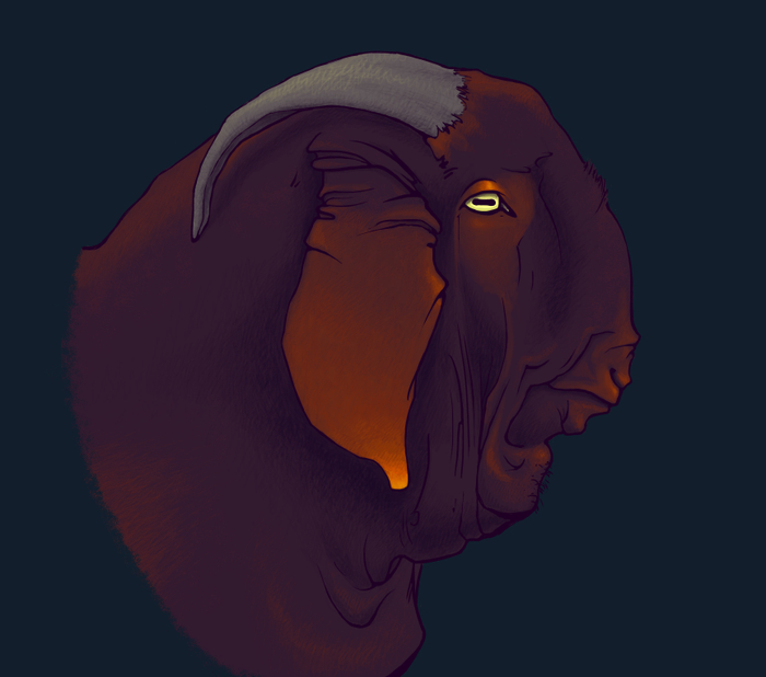 калахарская красная коза