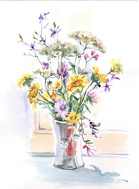 полевые цветы