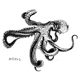 Осьминог