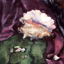 Память моря