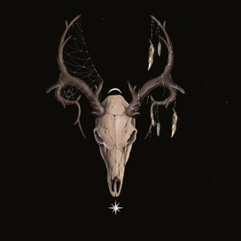 Череп оленя