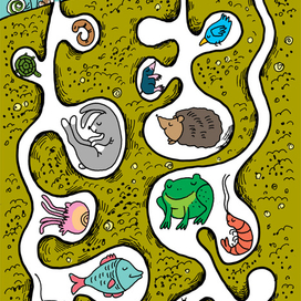 кому не нужна нора?