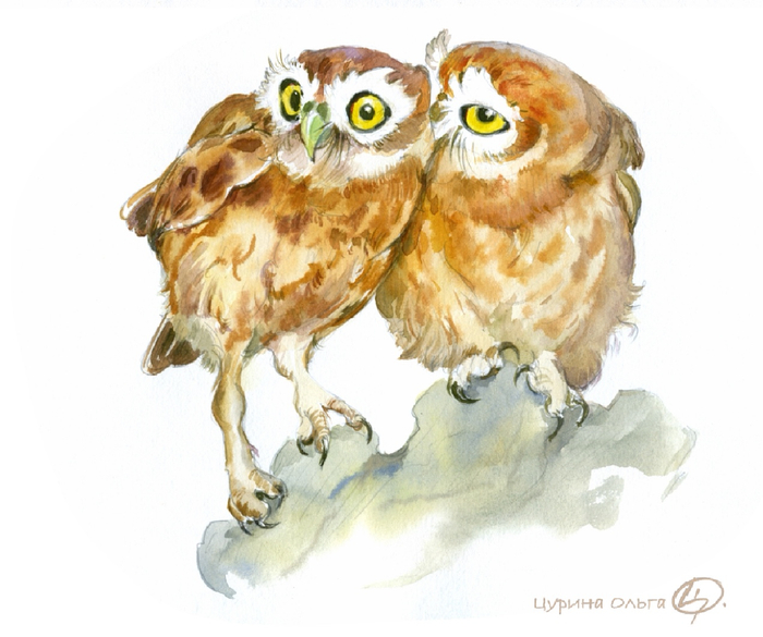 Совушки сплетничают о Нильсе