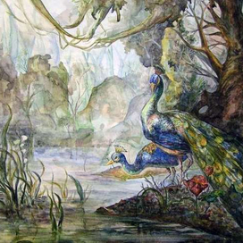 Павлины на болоте