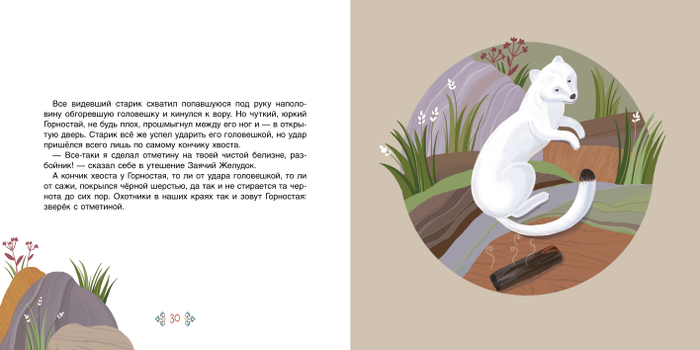 Почему почернел кончик хвоста у горностая