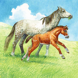 "Мамы и Малыши"