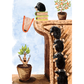 Кроты и мандрагора