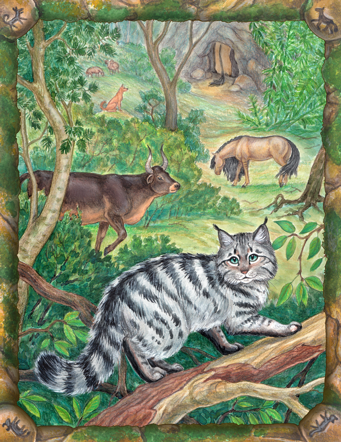 Дикие, но симпатичные