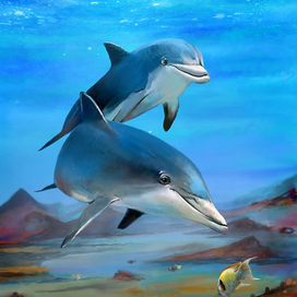 Счастливы в месте