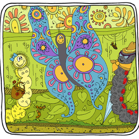 Знакомство с бабочкой