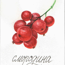 смородина