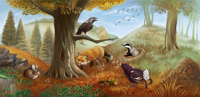 лесные приметы 3