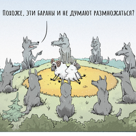 Овцы и волки