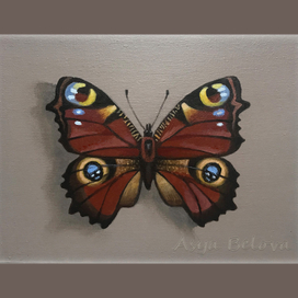 Павлиний глаз