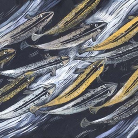 Рыбки золотые и серебряные