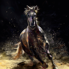 Андалузский жеребец