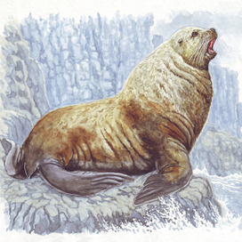 Слово предоставляется генеральному секретарю ЦК КПСС, председателю Президиума Верховного Совета...