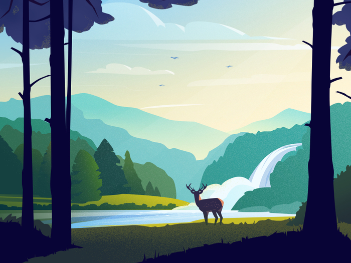 Лесная река