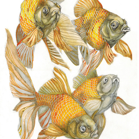 Goldfishes. Watercolor | Золотые рыбки. Акварель