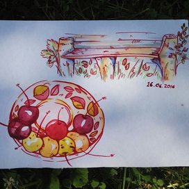 Летний дневник 