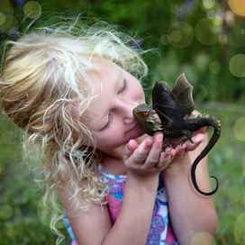 Мой маленький дракончик