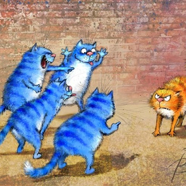 Рыжий-рыжий, конопатый!