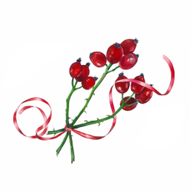 Зимний шиповник